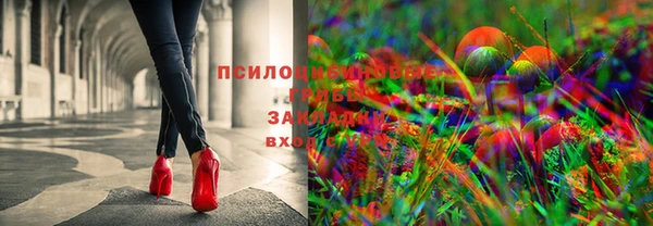 стаф Алагир