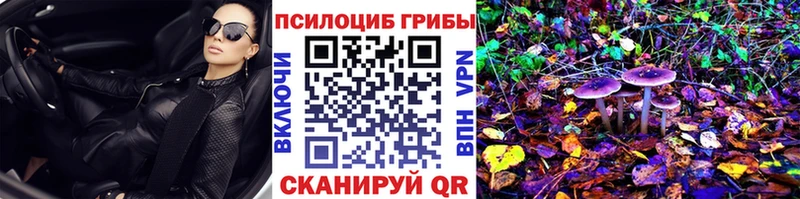 Галлюциногенные грибы прущие грибы Жиздра